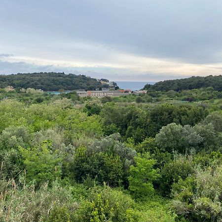 شقة Vista Mare بولا المظهر الخارجي الصورة